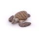 Papo Wild Life Zeeschildpad 56005