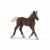 Schleich Farm World Paard Zwarte Woud Veulen 13899 