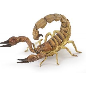 Papo Wild Life Skorpion 50209