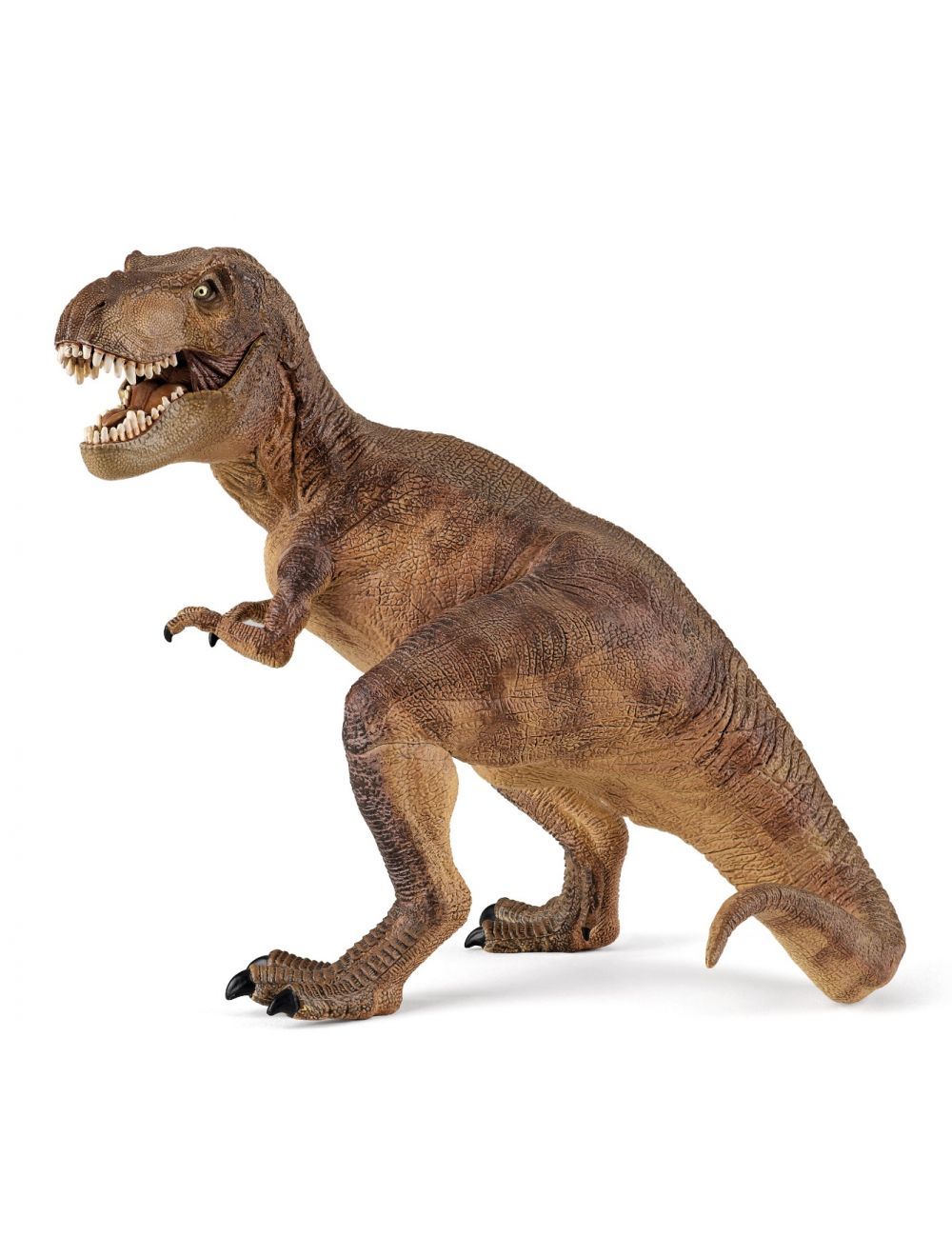 ga werken Beoefend Dierentuin s nachts Papo Dinosaurs T-Rex 55001